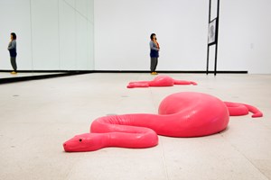 Carsten Höller, Half Mirror Room, 2008-2015 and Snake, 2014 © Carsten Höller. Installation View Carsten Höller: Decision at the Hayward Gallery, London 2015. Courtesy of the artist. Photo © Linda Nylind